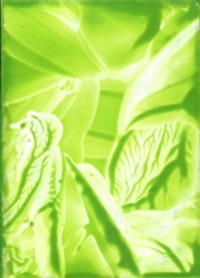 Reeks L - Series L, nummer 5